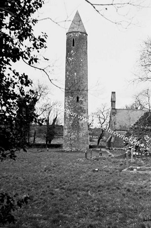 TIMAHOE ROUND TOWER